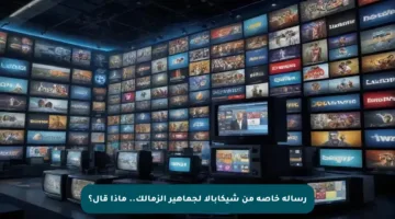 رسالة خاصة من شيكابالا لجماهير الزمالك.. ماذا قال؟